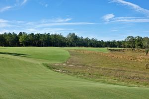 Tree Farm 8th